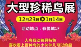 彩城视频爆料大全免费,揭秘热门事件幕后真相